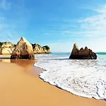 Studio 206 Daire Alvor